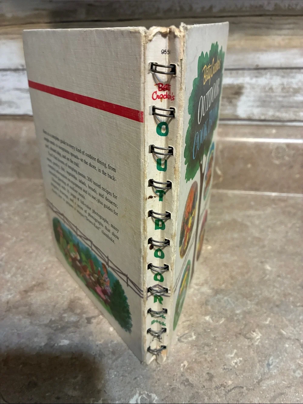 Betty Crocker Outdoor Cook Book - Green, White, Blue & Brown Cover Vintage